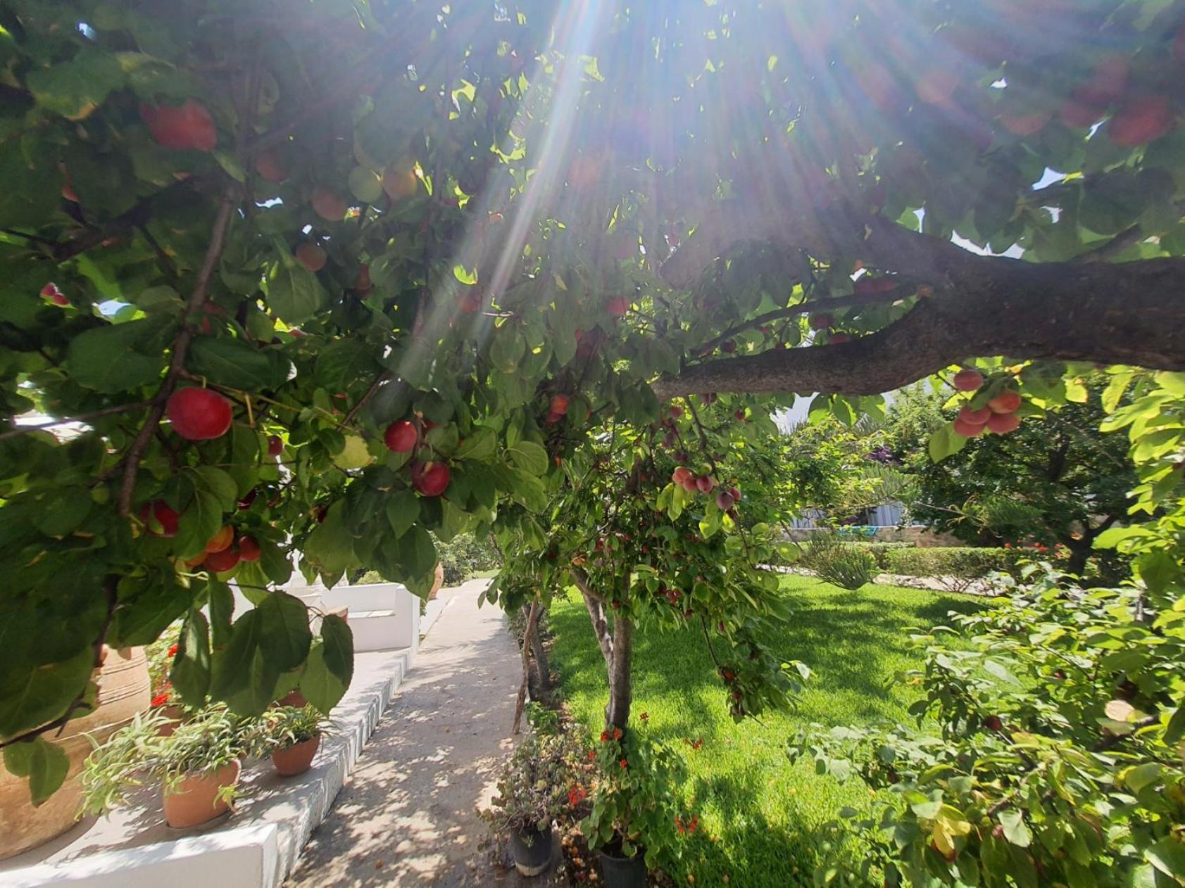 Vidalis Hotel Kionia Zewnętrze zdjęcie